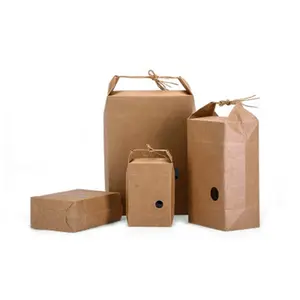 Logo Kustom Kertas Tas Printing Kemasan Belanja Hadiah Coklat Kraft Paper Bag dengan Tali Pegangan