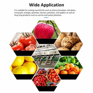 Máquina Clasificadora de Frutas y Verduras de Tipo Rodillo, Clasificadora de Patatas, Naranjas, Manzanas, Aguacates y Tomates - Product Image 2