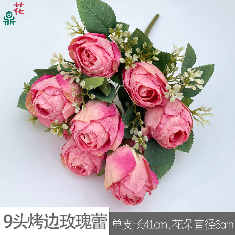 9 tête torréfié bord rose bourgeon GY rose foncé