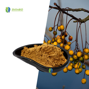 SLBIO Suministra Extracto de Saponina de Grado Cosmético 10:1, Polvo de Saponina de Nuez de Jabón - Product Image 3
