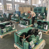 Unité de condensation refroidie par air de type H avec deux ventilateurs et compresseur Bitzer semi-hermétique