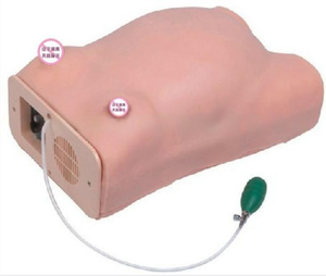 Tıbbi bilim için hamile kadınlar için bilgisayarlı anne muayene simülasyon modeli Prenatal Checkup jinekolojik sınav - Product Image 6