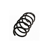 Micro petit ressort de tension en acier inoxydable personnalisé ressort d'extension long et large de haute qualité avec crochets