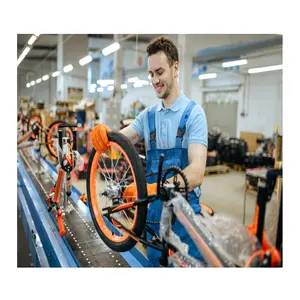 पेशेवर निर्माता इलेक्ट्रिक साइकिल असेंबली लाइन चेन प्लेट कन्वेयर