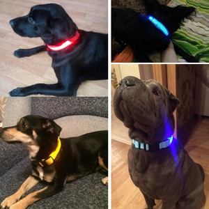 Hot Selling USB Charging <strong>Light</strong> <strong>up</strong> <strong>Dog</strong> <strong>Collar</strong> LED Pet <strong>Dog</strong> <strong>Collar</strong> and Leash Set - Product Image 6