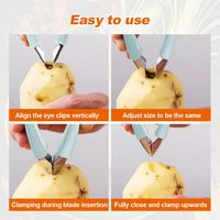Ananas-oogverwijderaar Roestvrij staal Multifunctionele zaadverwijderaar Clip Aardbeien Groenten Fruit Ogen Verwijderingsgereedschap