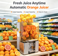 Presse-agrumes commercial à haut rendement multi-têtes en acier inoxydable avec alimentation automatique pour jus d'orange