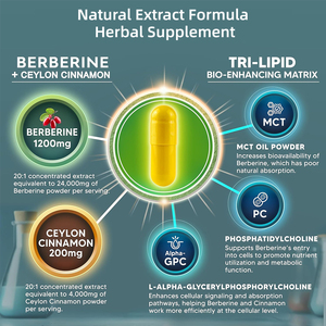 ผู้ผลิตอาหารเสริมเบอร์เบอรีนและอบเชยซีลอน สนับสนุนสารต้านอนุมูลอิสระ 120 แคปซูลเบอร์เบอรีนและอบเชยซีลอน - Product Image 3