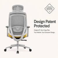 Service OEM/ODM, chaise de bureau ergonomique confortable avec support lombaire 2D, chaises de bureau en mesh pour bureau, CE ISO