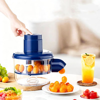 Elektrische automatische ABS multifunctionele fruit- en groenteschiller voor aardappelen en druiven