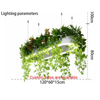 Lustre végétal biophilique ovale avec plantes grimpantes LED, suspension décorative pour restaurant, café, bureau, espace commercial, vente en gros, personnalisable
