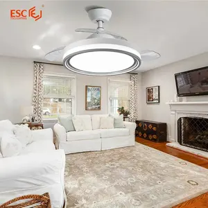 Modern design dc smart ceiling fan price retractable blades power saving electric ceiling fan with light