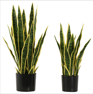 Planta de <span class=keywords><strong>Sansevieria</strong></span> Amarilla Realista al Tacto, Material PU, Tipo Árbol, para Decoración del Hogar y Hoteles, Diseño de Interiores, Gran Venta - Product Image 1