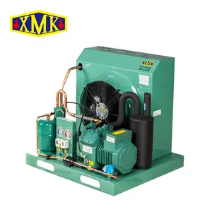 HVAC Bitzer 2hp Compressor Condensing Unit Open Type Air Cooled Unit