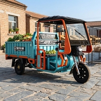 Tricycle électrique SHUYU à chargement lourd 60V avec auvent, tricycle électrique à 3 roues pour adultes et transport de marchandises