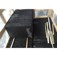 SH STONE Prix par mètre carré Carreaux de pierre d'ardoise fendue naturelle noire