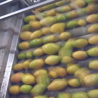 Mangopulp Maken Machine Mangosap Verwerkingslijn Ananassap Maken Machine