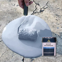 Revêtement imperméable en caoutchouc liquide PVC et PU pour toitures et sols, appliqué au pinceau et au pulvérisateur pour l'étanchéité des piscines et des toitures