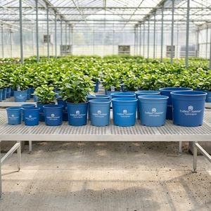 Contenedores de Plástico Biodegradables Estándar para Viveros, Macetas de 1-25 Galones con Orificios de Drenaje para una Gestión Agrícola Sistemática - Product Image 1