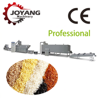 Ligne d'extrusion de riz nutritionnel personnalisable, machine entièrement automatique de fabrication de riz artificiel