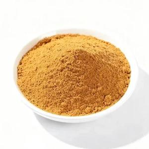 Экстракт натурального листья лопуха азиатского 10:1, порошок экстракта лопуха, азиатский лопух - Product Image 1