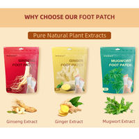 Patchs Détoxifiants au Gingembre en Gros, Coussinets Naturels à Base de Plantes pour les Pieds, Soulagent les Pieds Fatigués, Améliorent la Qualité du Sommeil, Autocollants de Soin des Pieds