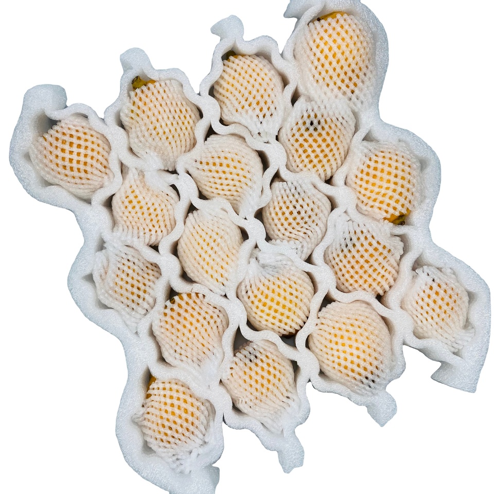 product-1-1 product-1-1