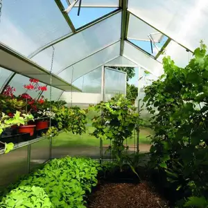 6 x8ft acciaio zincato facilmente, assemblare tende agricole intelligenti economiche telaio in alluminio serra da giardino in plastica Pvc/