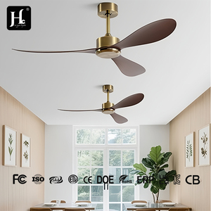 Ventilateur de plafond moderne avec lampe, style minimaliste, décoration intérieure de salon, 52 pouces, DC - Product Image 3