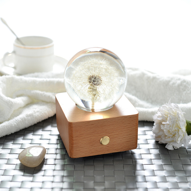 Dandelion Crystal Ball Bluetooth Speaker, Epoxy Resin Sphere with LED Light on Wooden Base, Preserved Flower Music Box Gift