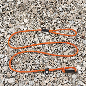 Tali Latih Anjing Nylon Reflektif Heavy Duty dengan Desain Anti Selip Multifungsi - Product Image 2