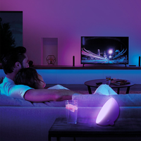 Lampe d'ambiance portable intelligente, contrôle par application WiFi, salle à manger, salon, chambre à coucher, lumière d'ambiance de table