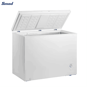 Compre Congelador Horizontal Comercial de Gran Capacidad de 295L con Descongelación Manual para DSC-384MA a Precio Económico - Product Image 2