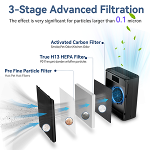 Purificador de Aire Portátil Eléctrico para el Hogar con Certificación ETL CE 2025, Ionizador Negativo, Filtro HEPA H13, Carbón Activado, Táctil - Product Image 6