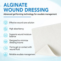 SEFUDUN 10 Pansements Efficaces pour Soins des Plaies 4'' * 4'' Pansements en Alginate de Calcium Hautement Absorbants Gaze de Pansement