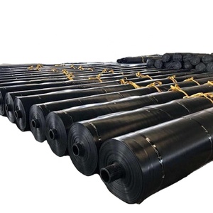 0.5-3 mét <span class=keywords><strong>EVA</strong></span> nhựa <span class=keywords><strong>HDPE</strong></span> geomembranes cho Fish dam Pond Liner cho nhân tạo hồ và Bán Phá Giá mặt đất cho nuôi trồng thủy sản - Product Image 1