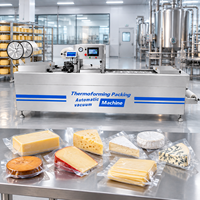 Machine d'emballage sous vide avancée pour produits laitiers frais avec une utilisation facile et des performances stables