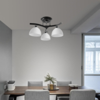 Lustre SkyCam de style traditionnel moderne E27 E26, lampe décorative, éclairage de plafond intérieur
