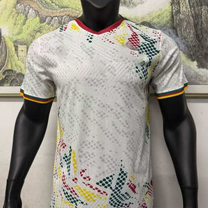 Maglia del Camerun 2025 Les Lions Indomptables di Alta Qualità, Edizione Giocatore, Maglietta da Calcio Unisex Economica, 100% Poliestere Traspirante - Product Image 2