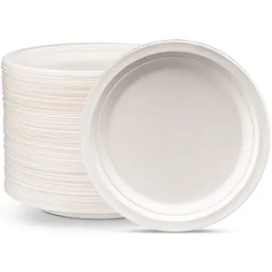 Pratos de papel descartáveis biodegradáveis, amostra livre de placas de açúcar de restaurante de alta qualidade, 9 polegadas