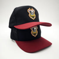 Gorra Deportiva de Alta Calidad, 6 Paneles, Transpirable, Diseño Dobby, Estampado de Frutas, Leopardo, Estilo Urbano, para Golf, Tela de Poliéster, Ajustable con Broche