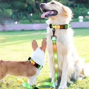 Collar Luminoso LED Impermeable para Mascotas, Correa para Perros con Luz Nocturna, Recargable por USB, de Poliéster, Cómodo para Uso en Exteriores - Product Image 2