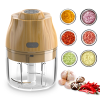 Elektrische Mini Knoflookhakker 250ML USB Groente- en Uienhakker Draagbare Kleine Voedselprocessor voor Gember Chili Groenten