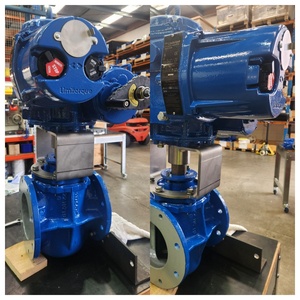 QX Series <b>Smart</b> Multi-turn Actuators Control Supplier - Product Image 6