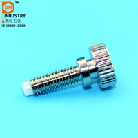 Vis à embout en nylon de fabrication chinoise, vis à embout souple, vis à embout antidérapant, vis à embout en nylon anti-vibration, vis de verrouillage à embout en nylon, diamètre 2,4 mm. Vis de réglage Grub