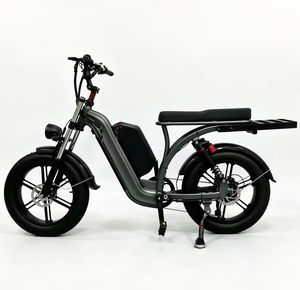 20 Inch Fat Tire 7-Speed Alloy Steel <b>Frame</b> Disc Brakes Electric Cargo <b>bicycle</b> Rear Rack Brushless Electric 36V70AH Long - Product Image 1