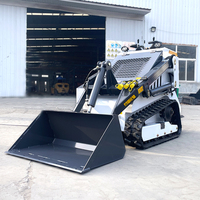 Mini-chargeuse compacte T800 à moteur essence pour la location, modèle exclusif transfrontalier, petite chargeuse frontale sur chenilles, usine chinoise
