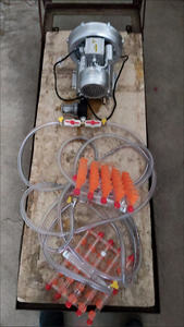 Machine à ventouse pour œufs, dispositif de transport d'œufs avec moteur - Product Image 4