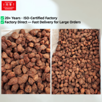 Prix direct usine, prune entière séchée et aigre de marque TONGXIANG, emballée individuellement, 100% naturelle, fruits secs, produits bruts