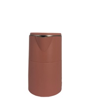 Bouilloire électrique de haute qualité et grande capacité en acier inoxydable avec un design coloré, pour la cuisine et la maison